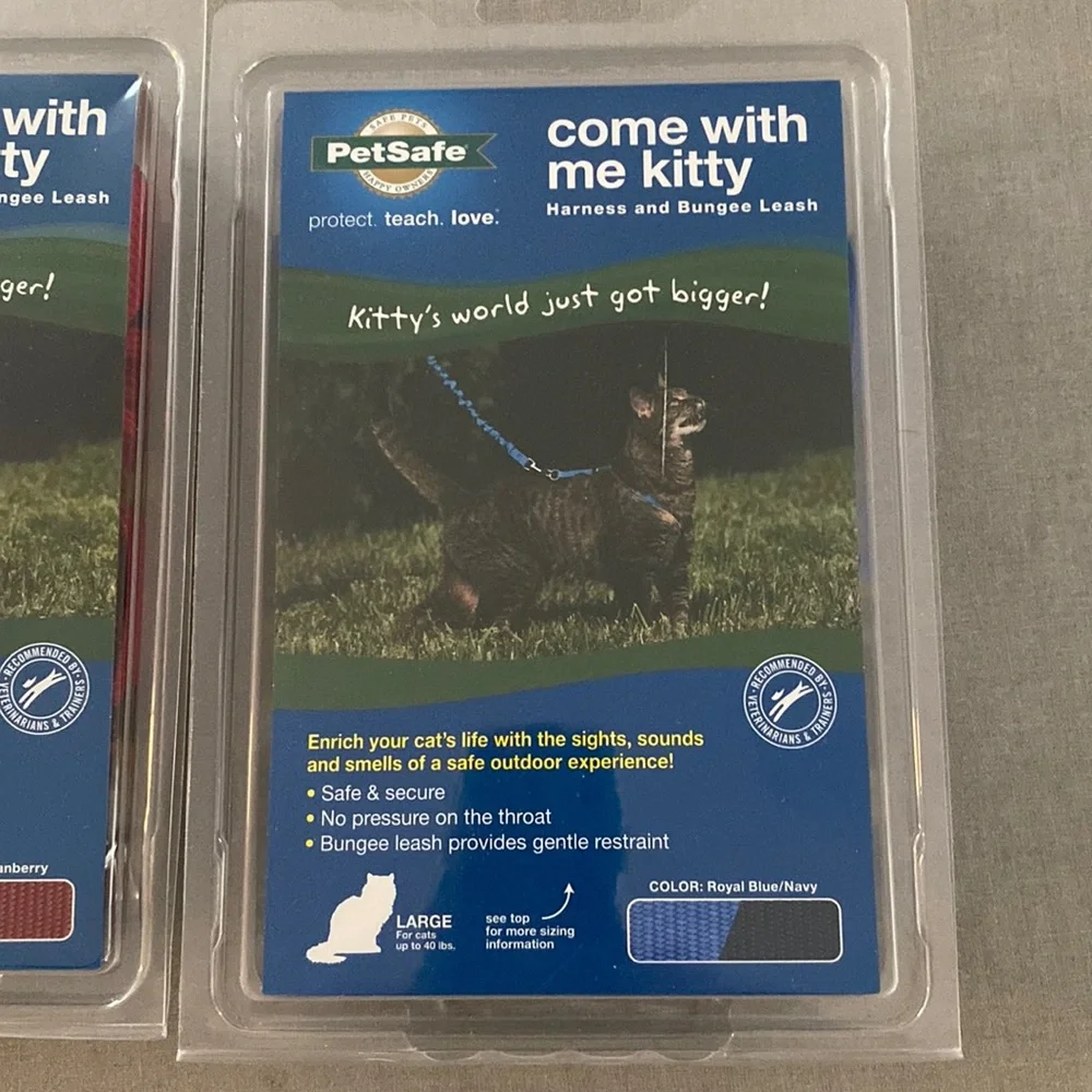 Cat harness and bungee cord leash.